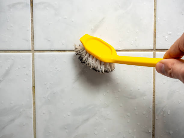 Best Same-Day Mold Removal  in Good Hope, AL