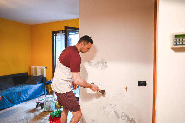 Best Affordable Mold Removal  in Good Hope, AL