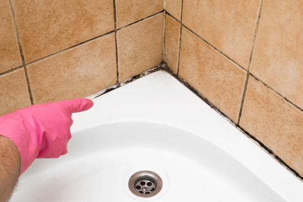 Best Mold Cleaning Services  in Good Hope, AL